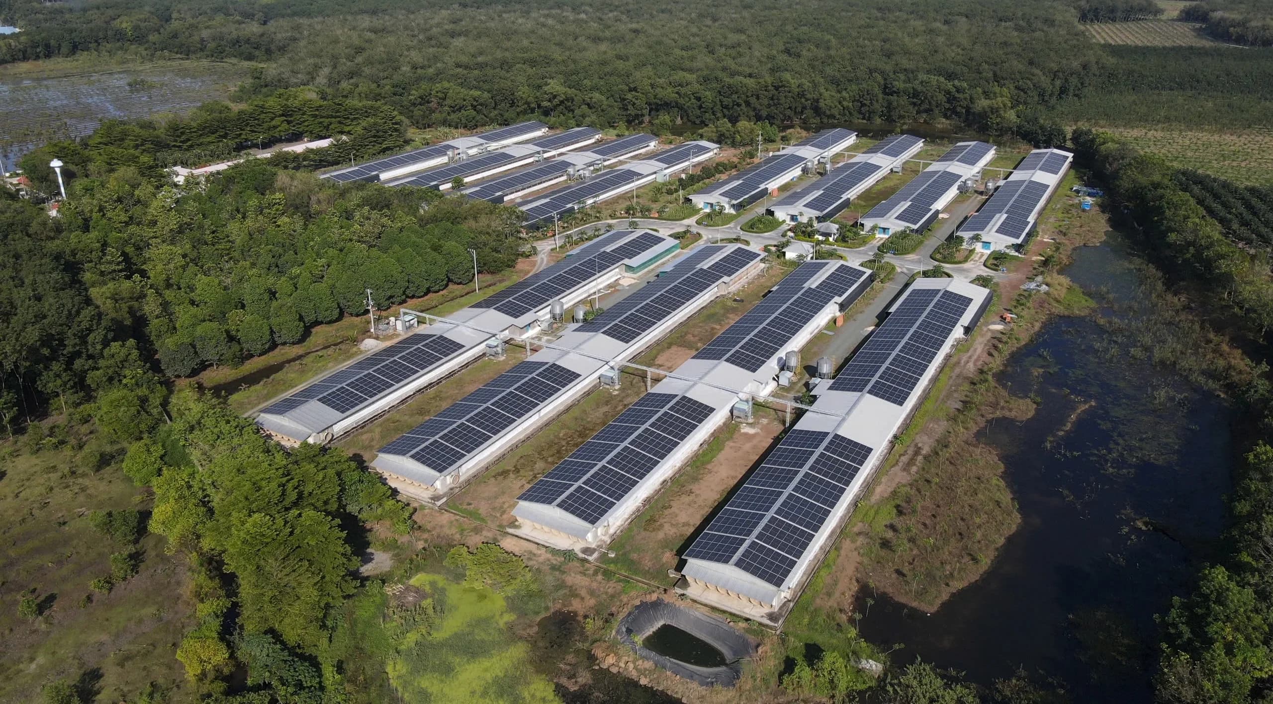 Trung tâm vận hành AI